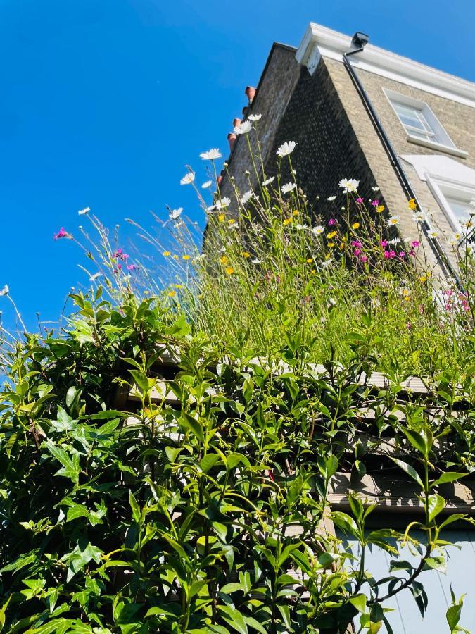 Camden Town Garden Cabin London Exteriör bild